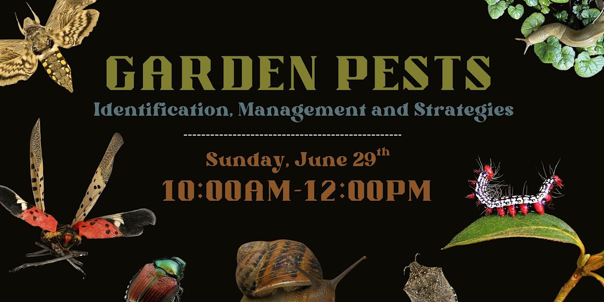 Garden Pests:  Identification, Management and Strategies, 29 June | Event in Yorktown Heights | AllEvents