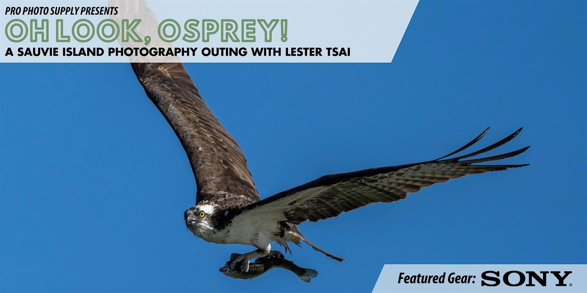 Oh look, Osprey! with Lester Tsai, 31 August | Event in Portland | AllEvents