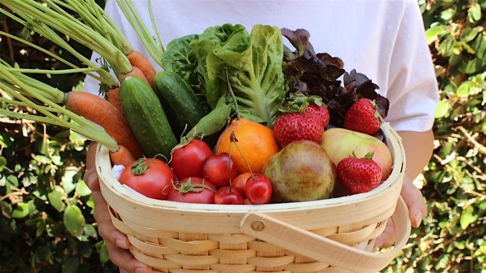 A Celebration of Local Food (October 26) Marcela Salas, 26 October | Event in Sioux Falls | AllEvents