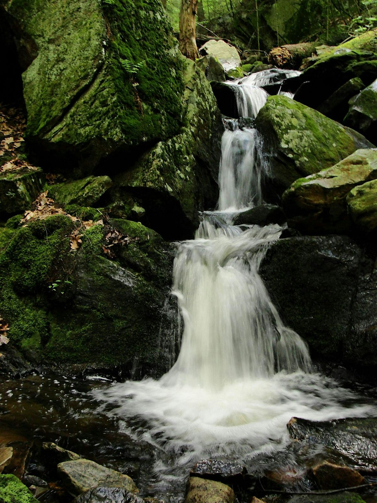 Hike to Campbell Falls, 6 September | Event in New Marlborough | AllEvents