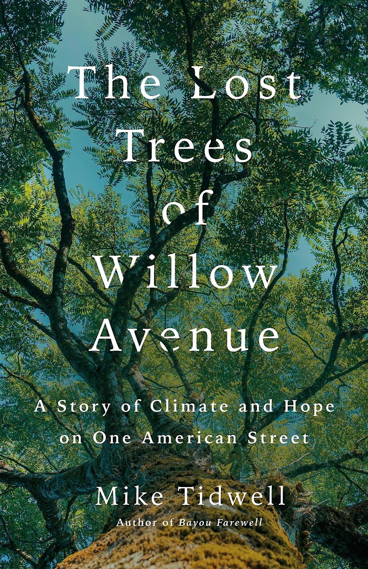 The Lost Trees of Willow Ave-A Story of Climate & Hope on 1 American Street, 8 July | Event in Silver Spring