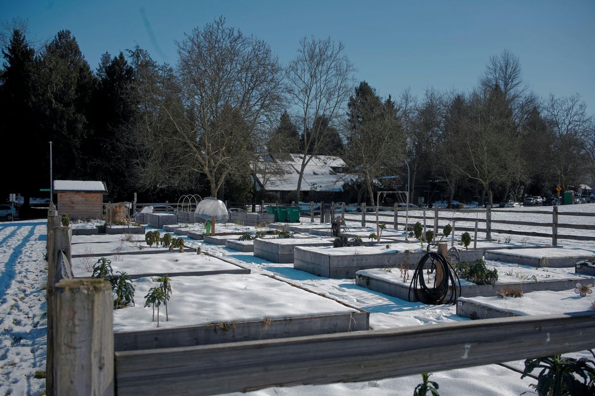 Greentree: Putting your Garden to Bed for Winter, 22 October | Event in Burnaby | AllEvents
