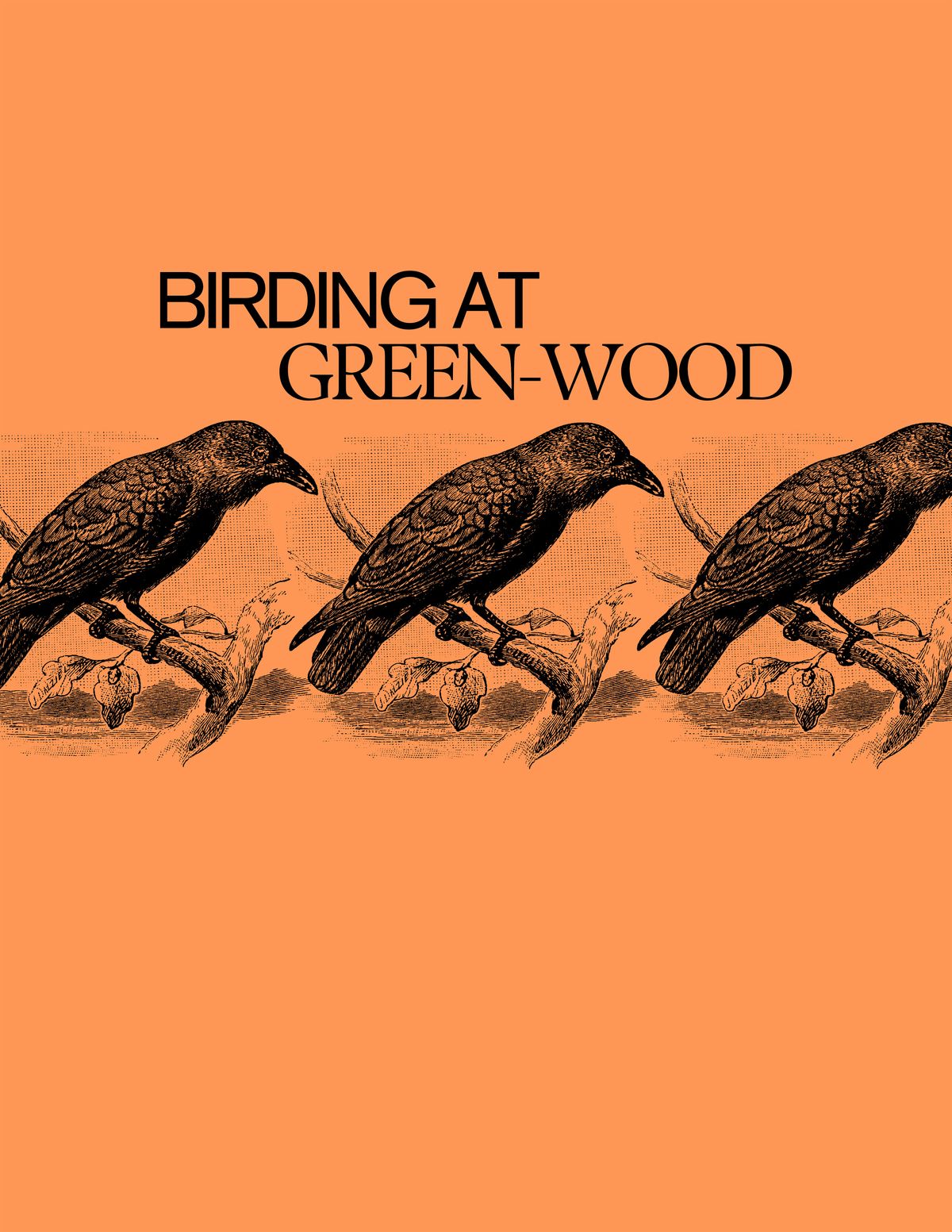 Birding at Green-Wood, 7 June | Event in Brooklyn | AllEvents