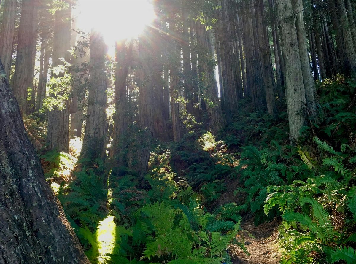 More Than Just Mindfulness: Finding Peace From Past Trauma, 18 June | Event in Stinson Beach | AllEvents
