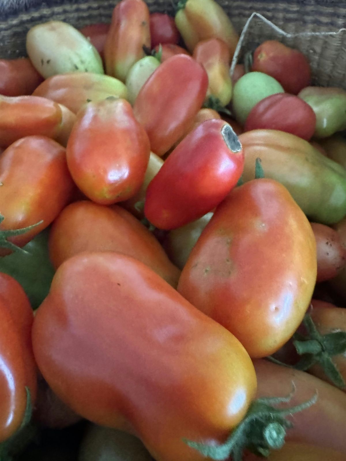 Water Bath Canning Class (Tomatoes), 4 October | Event in Murphy | AllEvents