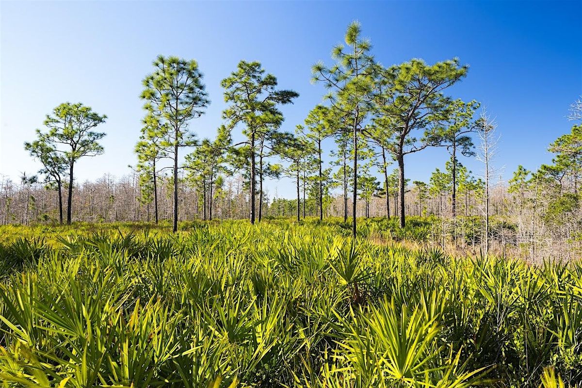 Triple N Ranch Hike (Holopaw FL), 31 May | Event in St. Cloud | AllEvents