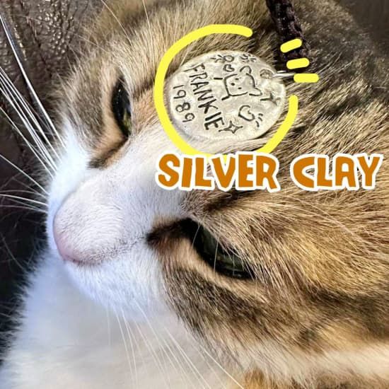 999 Silver Clay Jewellery Making Class | Event in Alexandria | AllEvents