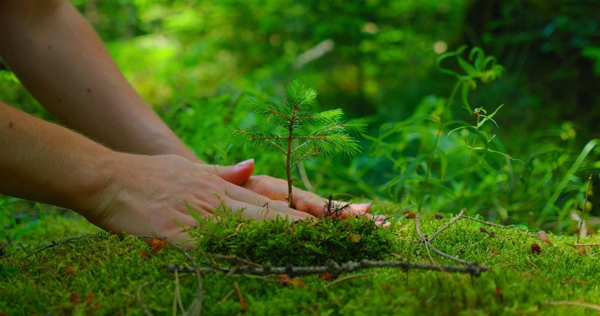 Transformative Abundance: West Coast Regional Convening, 23 October | AllEvents