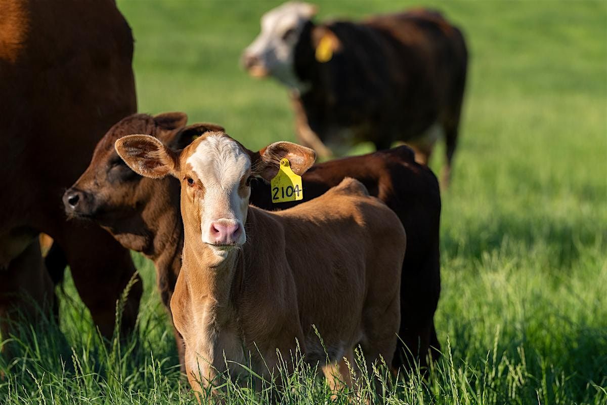 BioSecurity & Pasture Management Workshop, 29 August | Event in McKinney | AllEvents