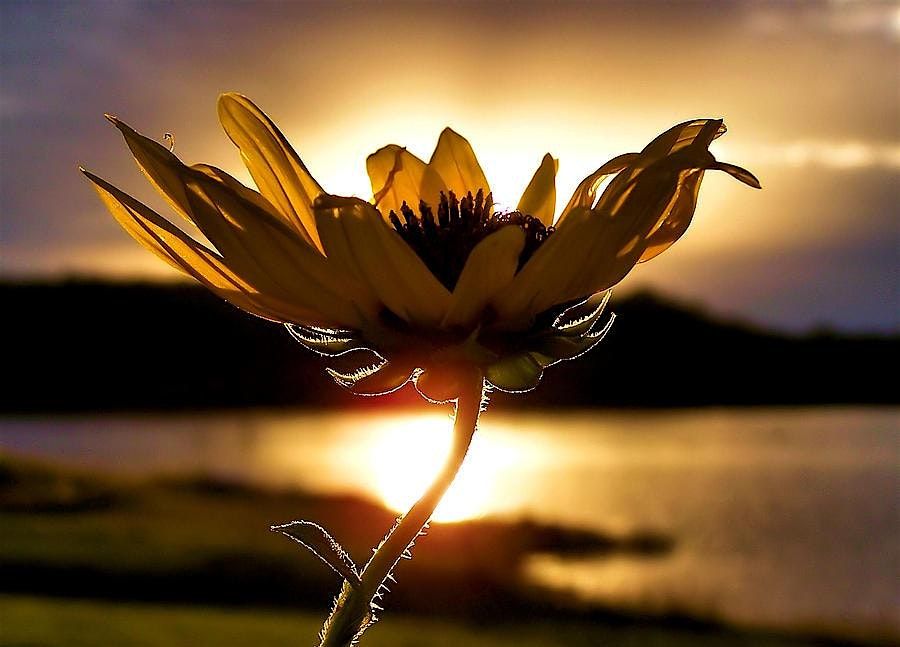 Women’s Empowerment Event: Reconnection & Belonging, 7 August | Event in Barnstable | AllEvents