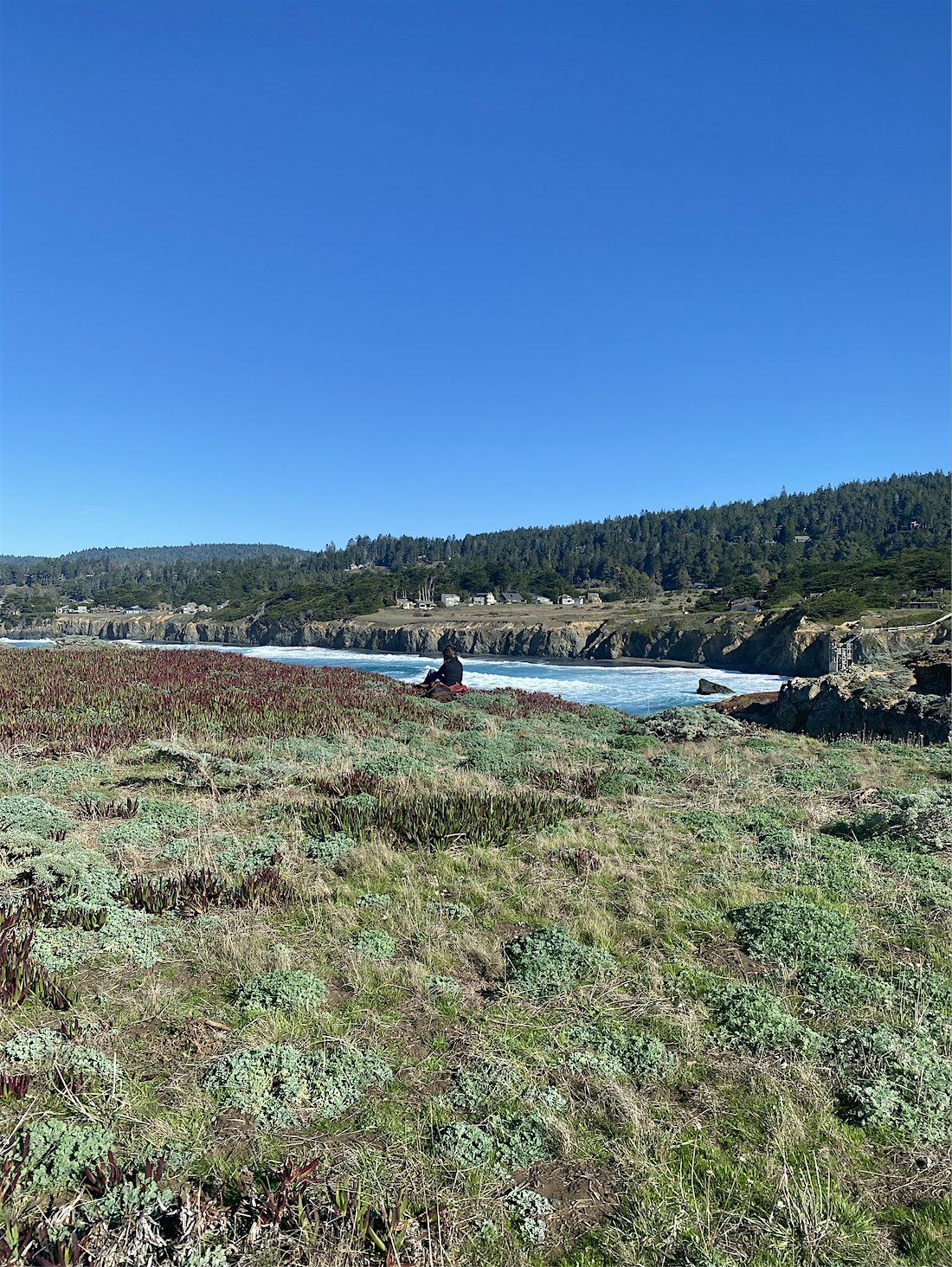 Forest Bathing: Guided Ecotherapy Experience @ The Sea Ranch Lodge, 23 August | Event in Sea Ranch | AllEvents