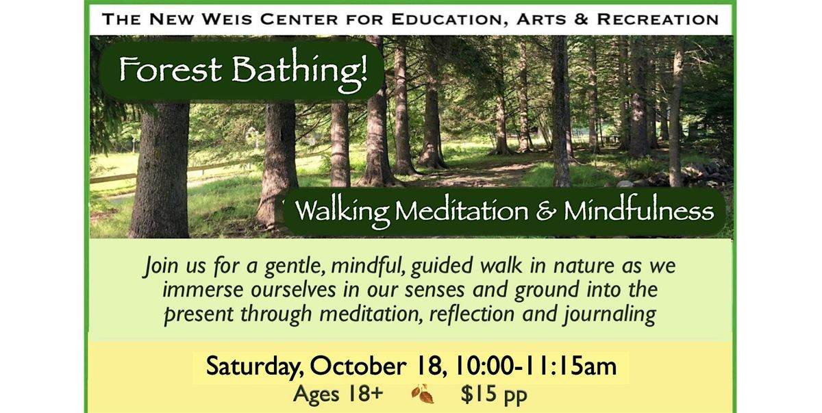 Forest Bathing - Walking Meditation & Reflection, 18 October | Event in Ringwood | AllEvents