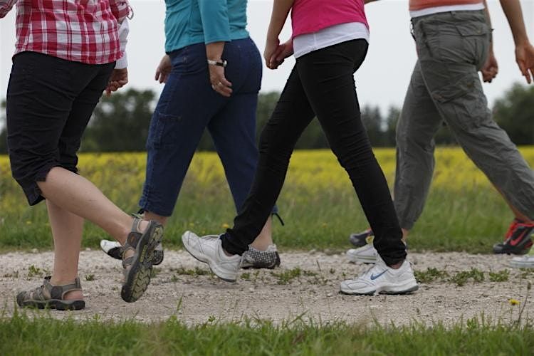 Seasonal Walking Group | Event in Detroit | AllEvents