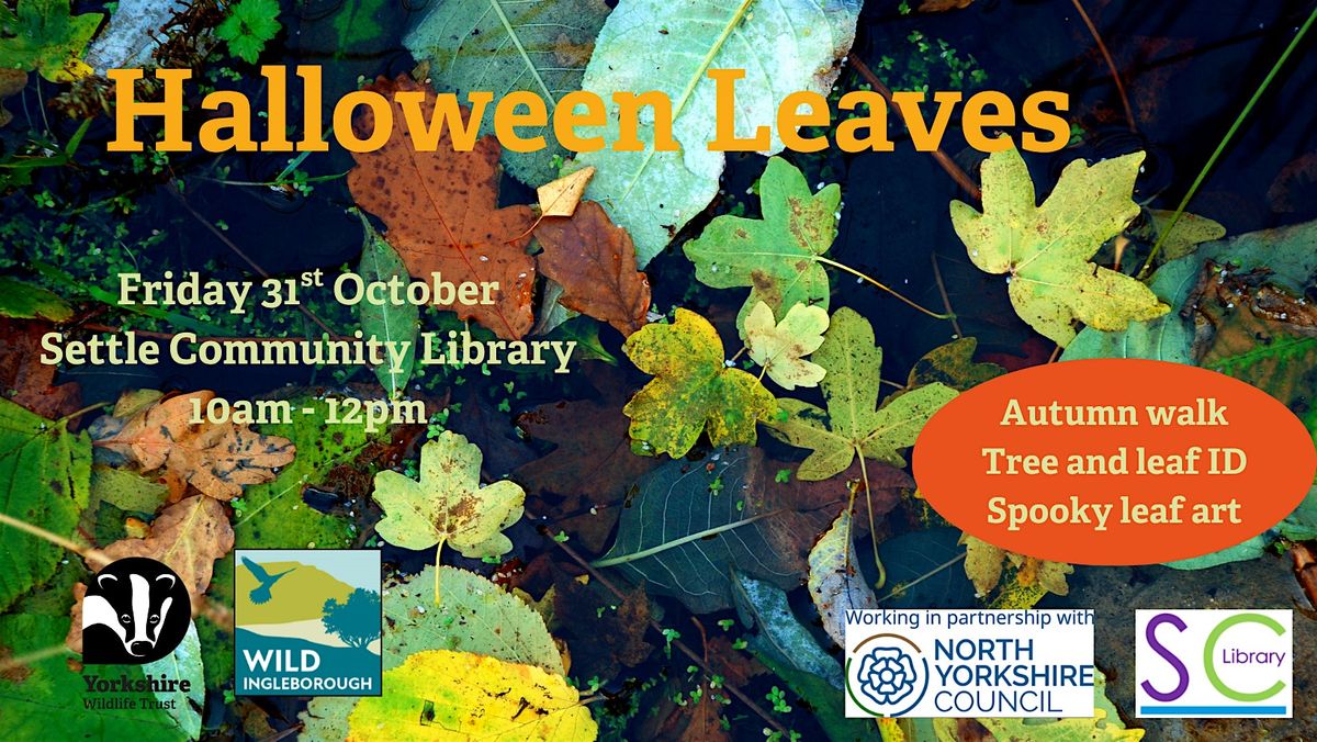 Autumn trees and leaves, 31 October | Event in Settle | AllEvents