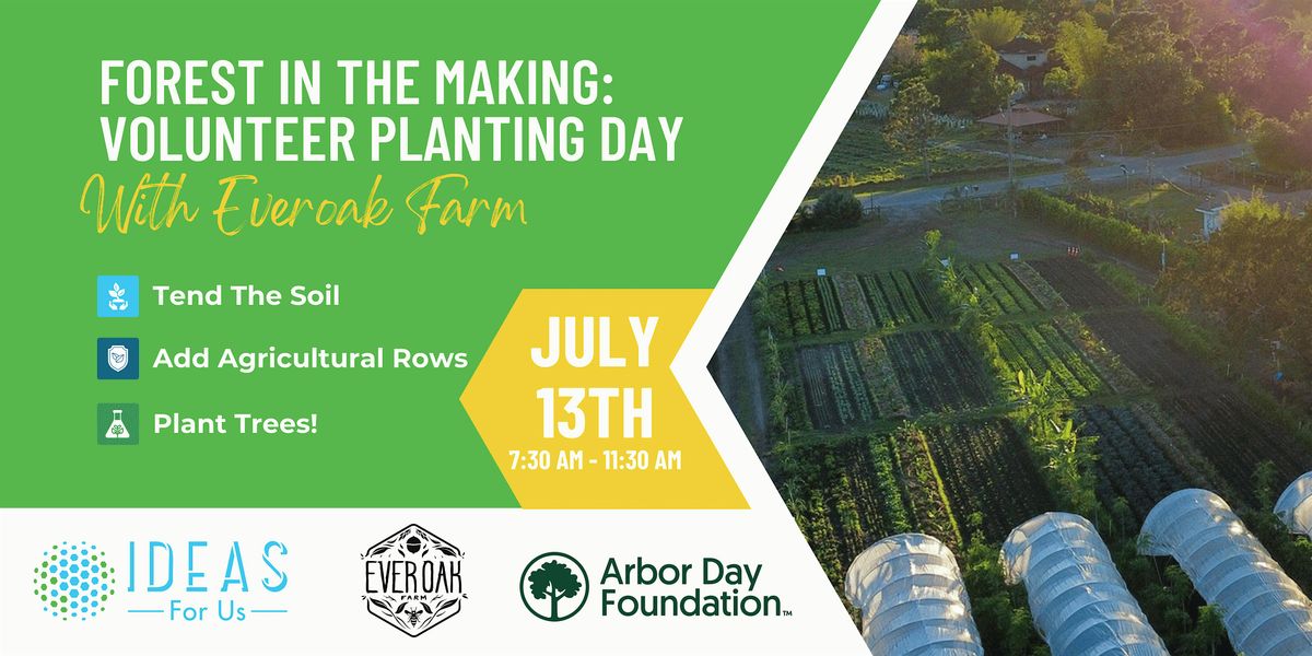 Forest in the Making: Volunteer Planting Day at Everoak, 13 July | Event in Orlando | AllEvents