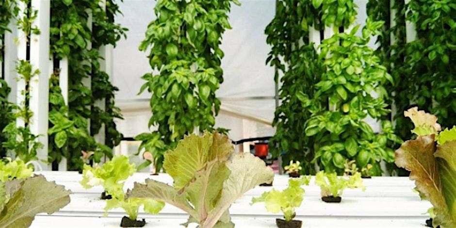 Hydroponics and Vertical Farming, 16 August | Event in Silver Spring | AllEvents