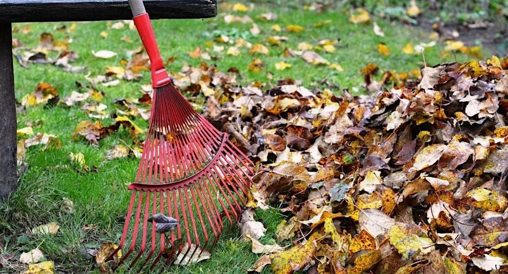 Putting the Garden to Bed for the Winter, 20 September | Event in Bainbridge Island | AllEvents