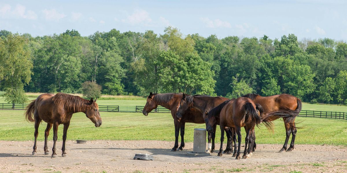 Private Access: Autumn on Two  Working Horse Farms Photography Class, 11 October | Event in Hopewell | AllEvents