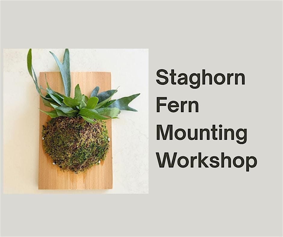 Staghorn Mounting Workshop, 17 August | Event in Chino Hills | AllEvents