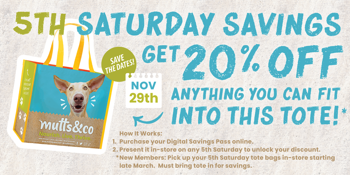 5th Saturday Celebration!, 29 November | Event in Dublin | AllEvents
