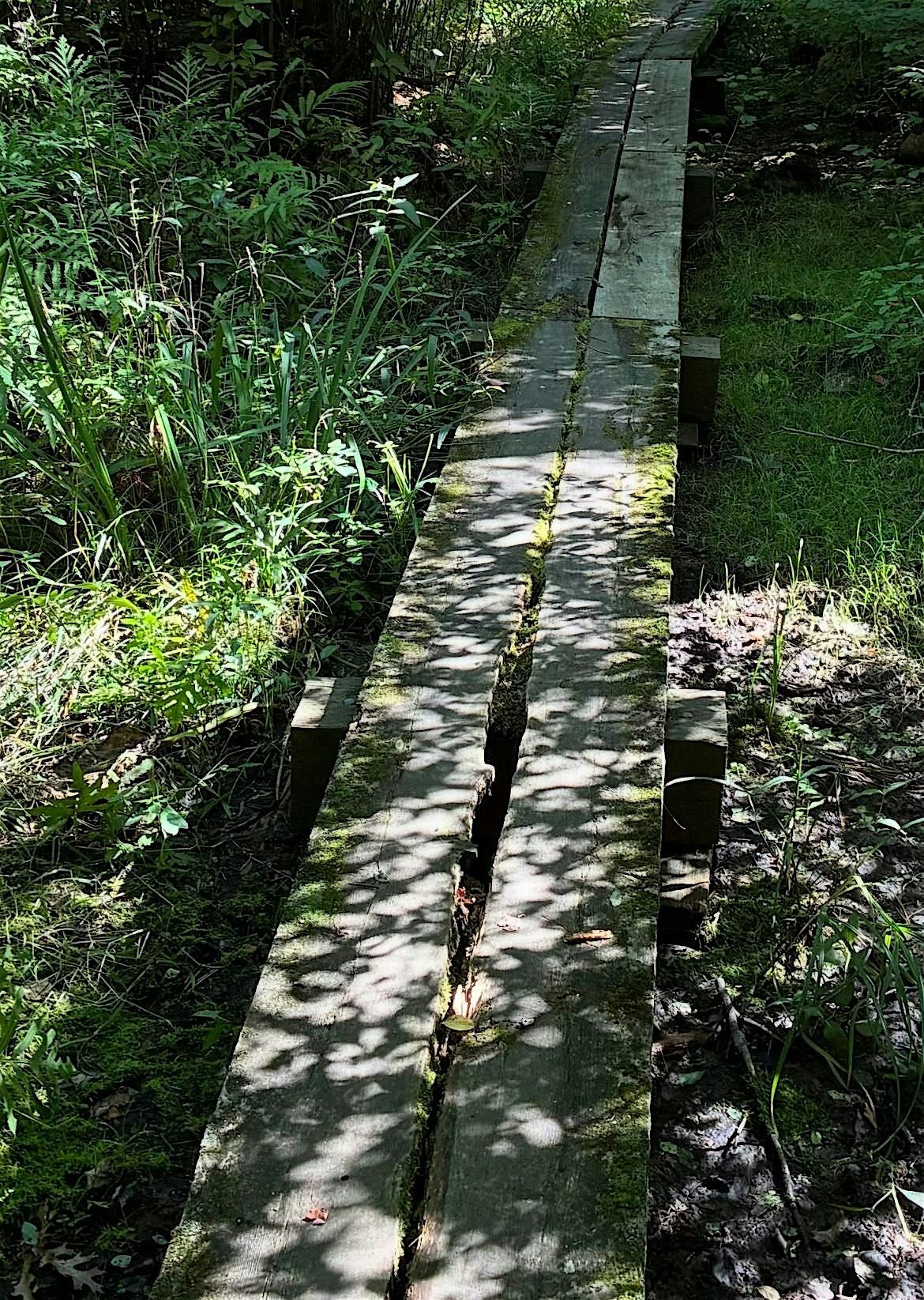 Ward Reservation boardwalk project! Part 2, Saturday 11/15/25 | Event in Andover | AllEvents