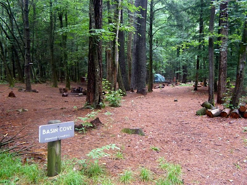 Basin Creek & Grassy Gap Fire Road Hike, 6 June | Event in McGrady | AllEvents