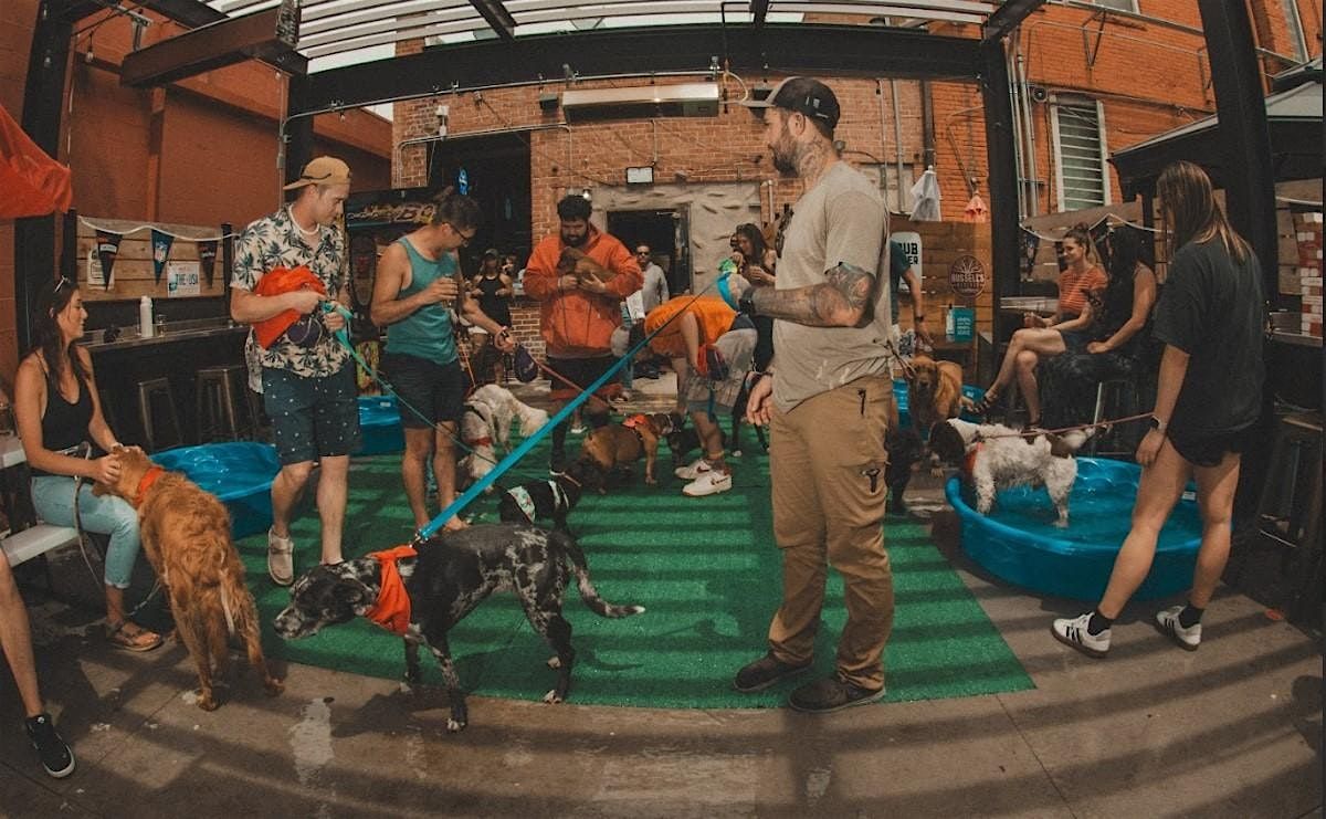 Puppy Pool Party, 2 August | Event in Boise | AllEvents