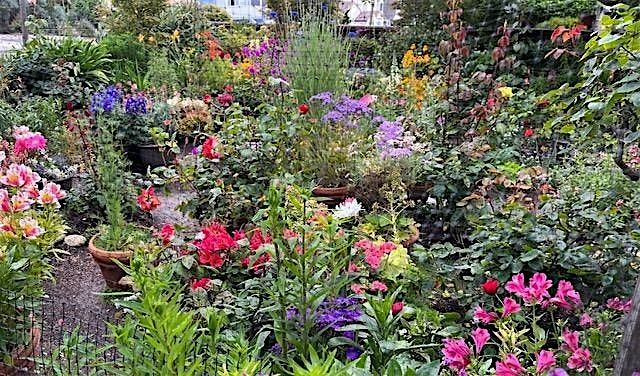 Historic Garden League - June 2025 Garden Tour, 14 June | Event in Monterey | AllEvents