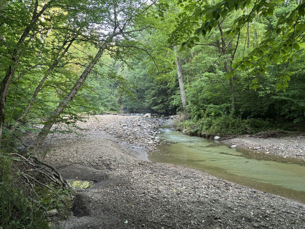 Crooked River Chapter Hike:  Girdled Road and Cascade Falls, 29 July | Event in Painesville | AllEvents