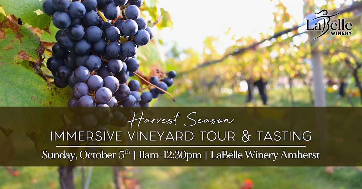 Harvest Season: Immersive Vineyard Tour & Tasting (10/5/25 – Amherst) | Event in Amherst | AllEvents