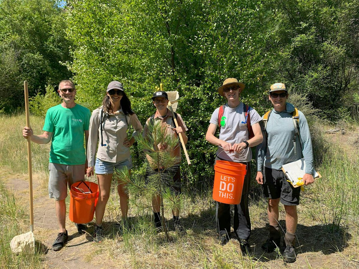 Stream Sampling on Whychus Creek (Friday, August 8th), 8 August | Event in Sisters | AllEvents