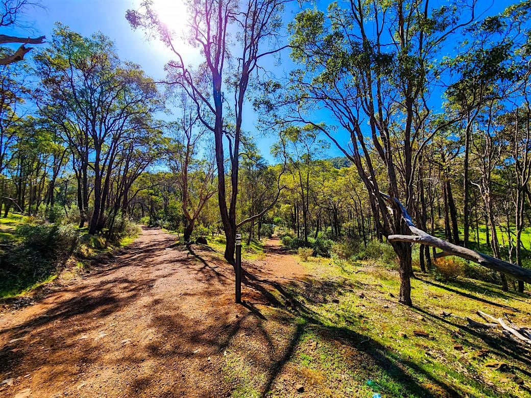Wander and Flow , Hike & Yoga,  Baldwins Bluff., 9 November | Event in Serpentine | AllEvents