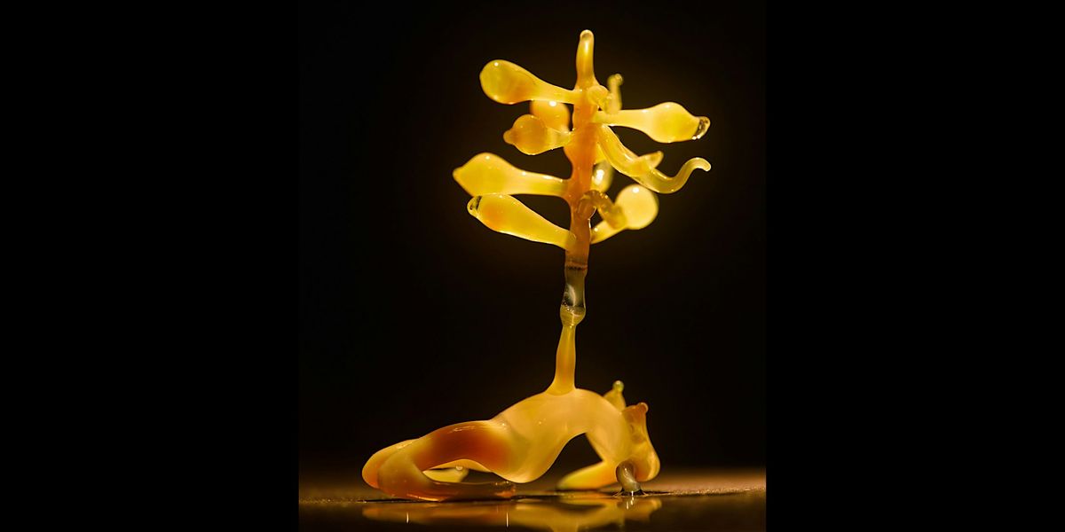 Figure, Fantasy, Form : Glass and Embodiment with Goldie Poblador, 13 January | Event in Brooklyn | AllEvents