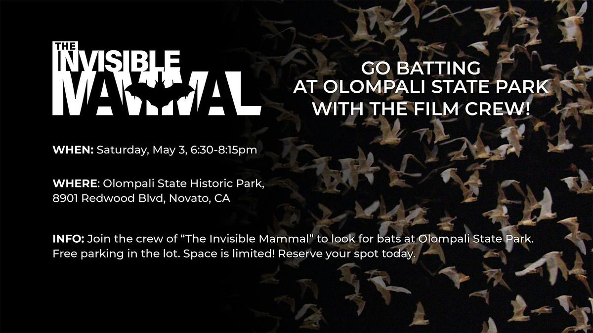 Go Batting At Olompali State Park | Event in Novato | AllEvents