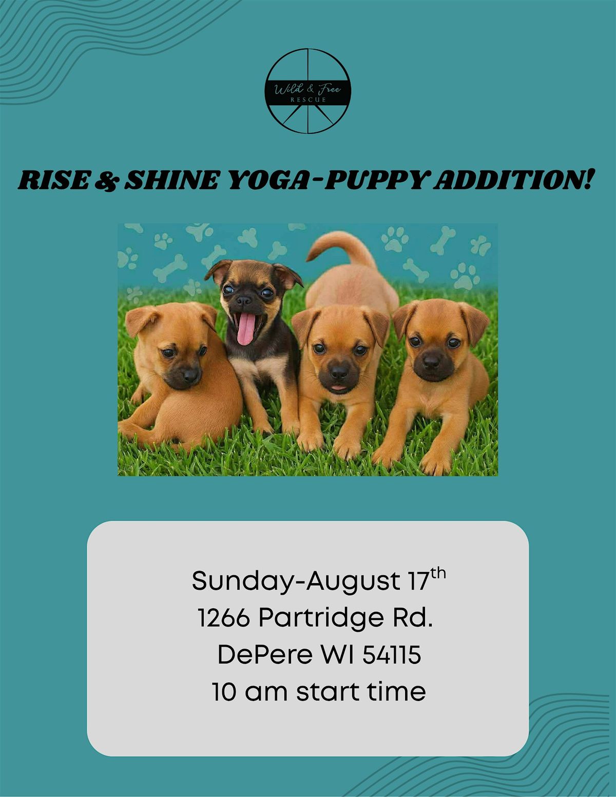 Rise & Shine Yoga- Puppy Addition, 17 August | Event in De Pere | AllEvents