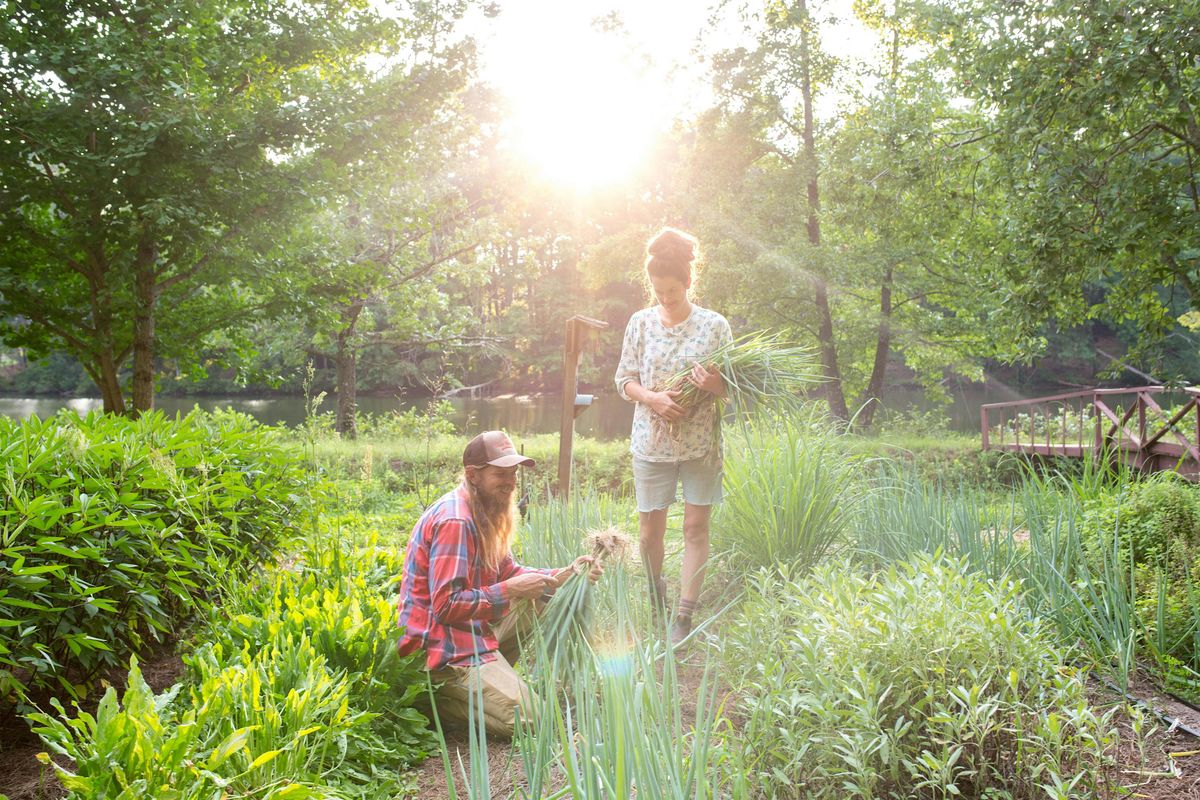 May Garden Volunteer Day, 30 May | Event in Stone Mountain | AllEvents