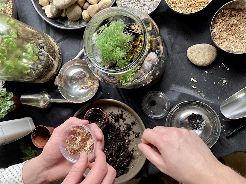 One Gallon BioActive Terrarium Workshop: Saturday August 30th , 6-8pm, 30 August | Event in Philadelphia | AllEvents