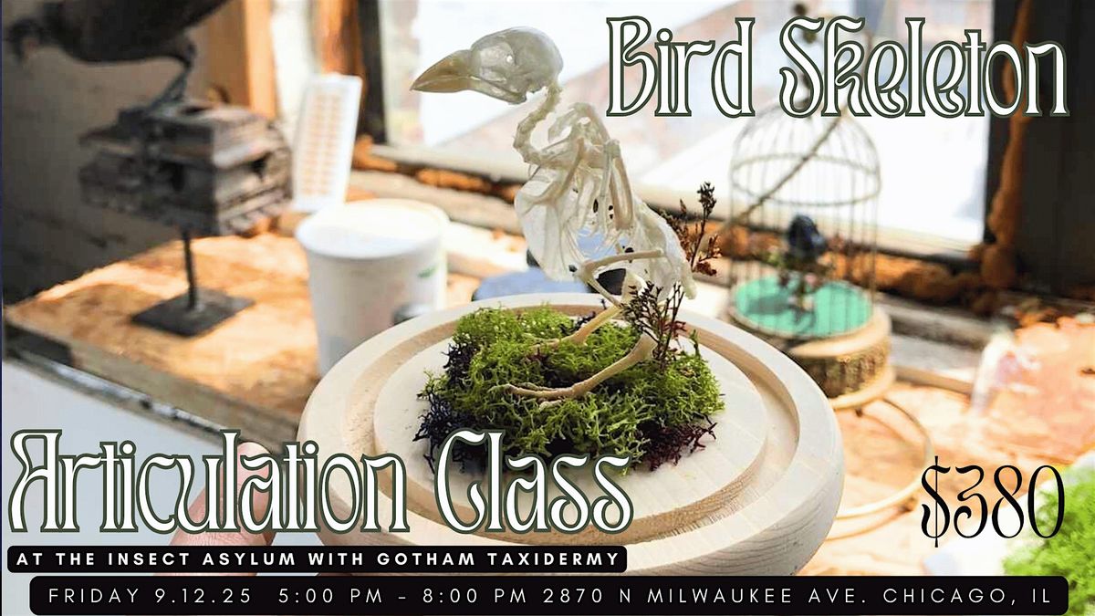 Bird Skeleton Articulation Class with Gotham Taxidermy, 12 September | Event in chicago | AllEvents