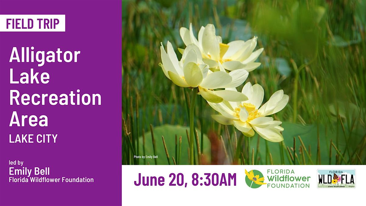 Alligator Lake Recreation Area, 20 June | Event in Lake City | AllEvents