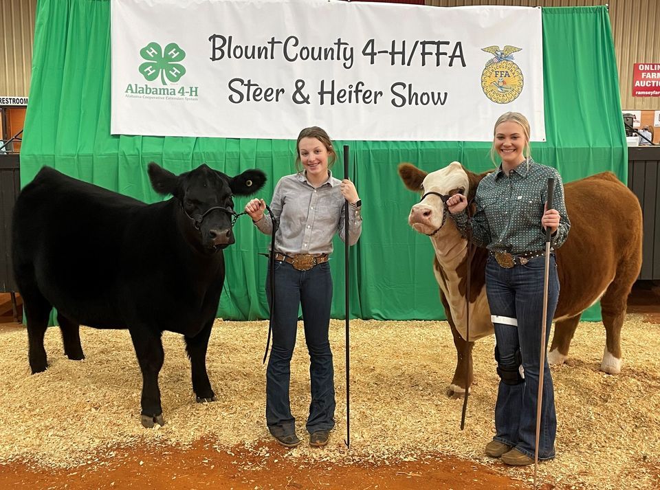Blount County 4H/FFA Steer and Heifer Show, Blount County Agri