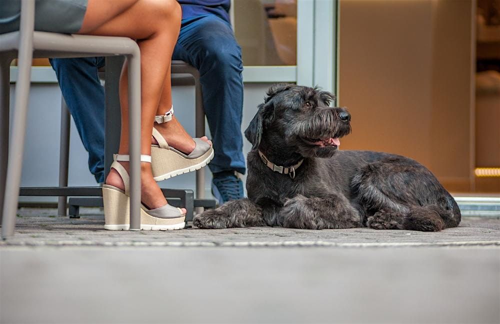 Dallas Blind Date Matchmaking and Membership | Event in Dallas | AllEvents