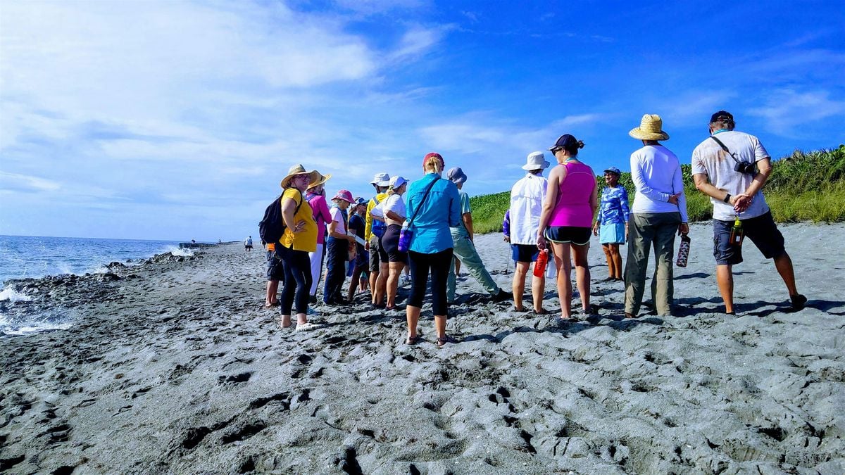 Preserve Mini Tour: Beach, 4 May | Event in Hobe Sound | AllEvents