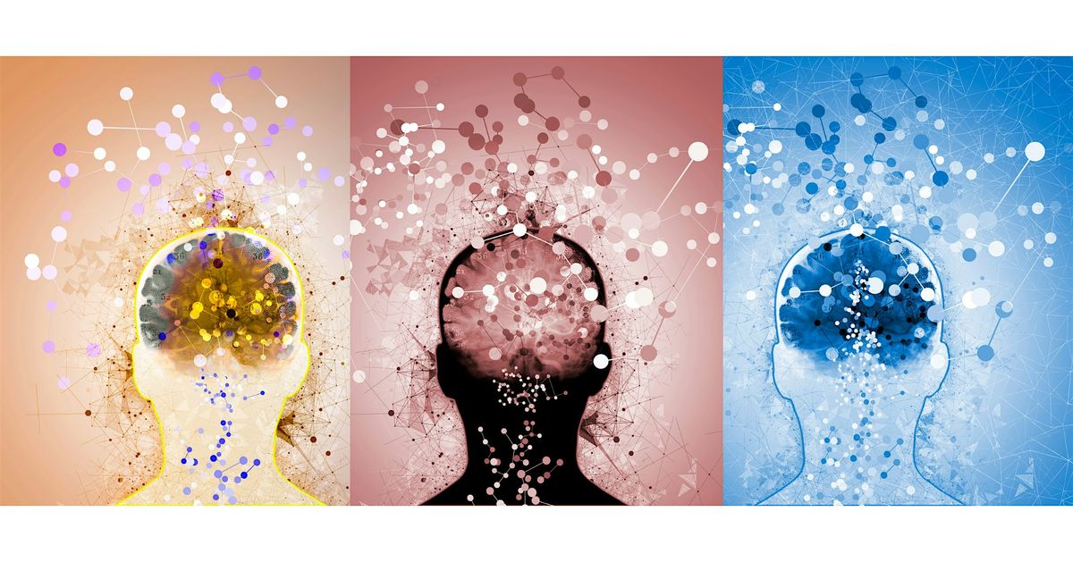 Volunteer Managers' Forum - Intro to neurodiversity and autism, 18 September | Event in Perth | AllEvents