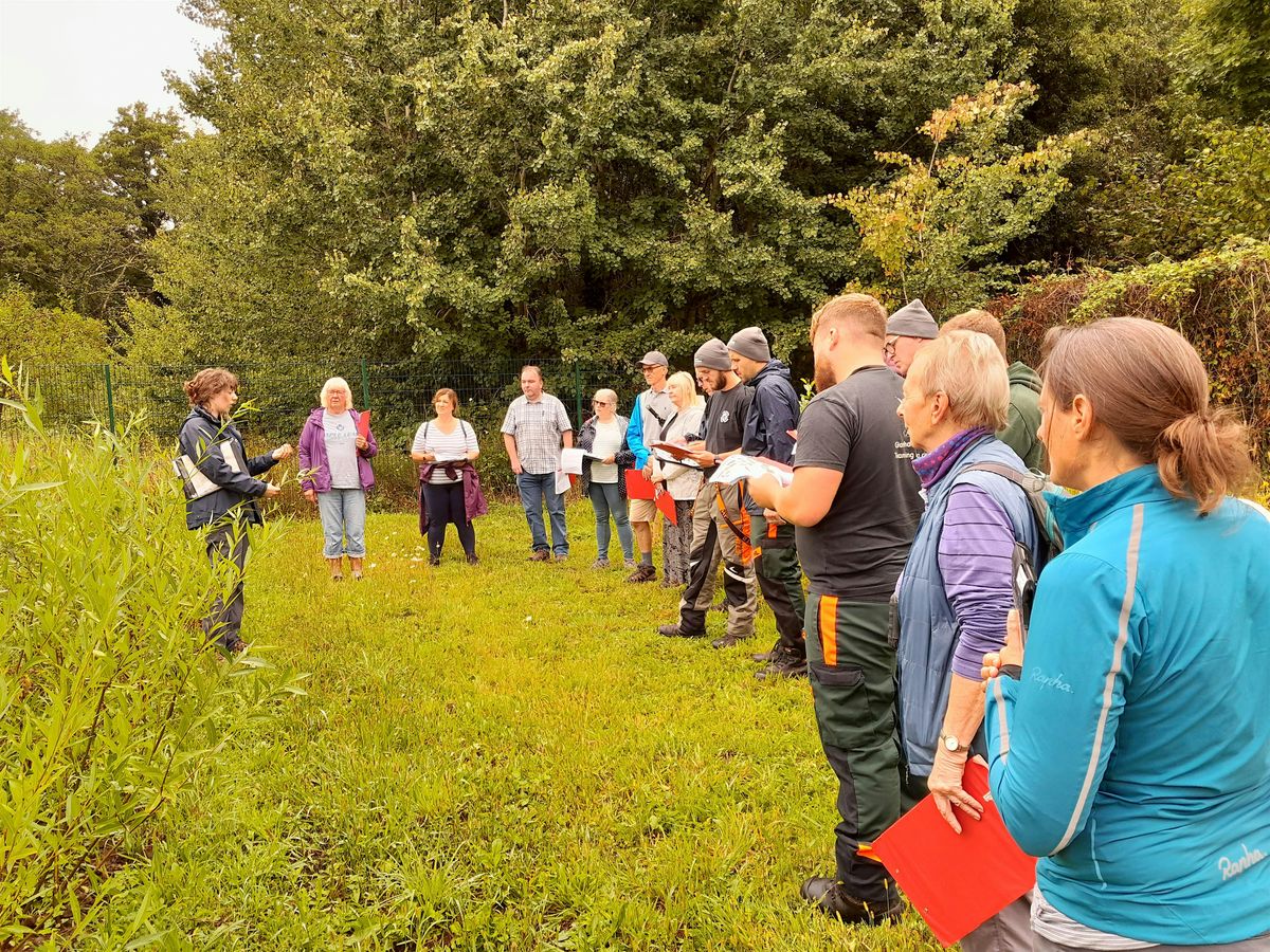 Forest Farm Summer Tree Identification, 6 August | Event in Cardiff | AllEvents