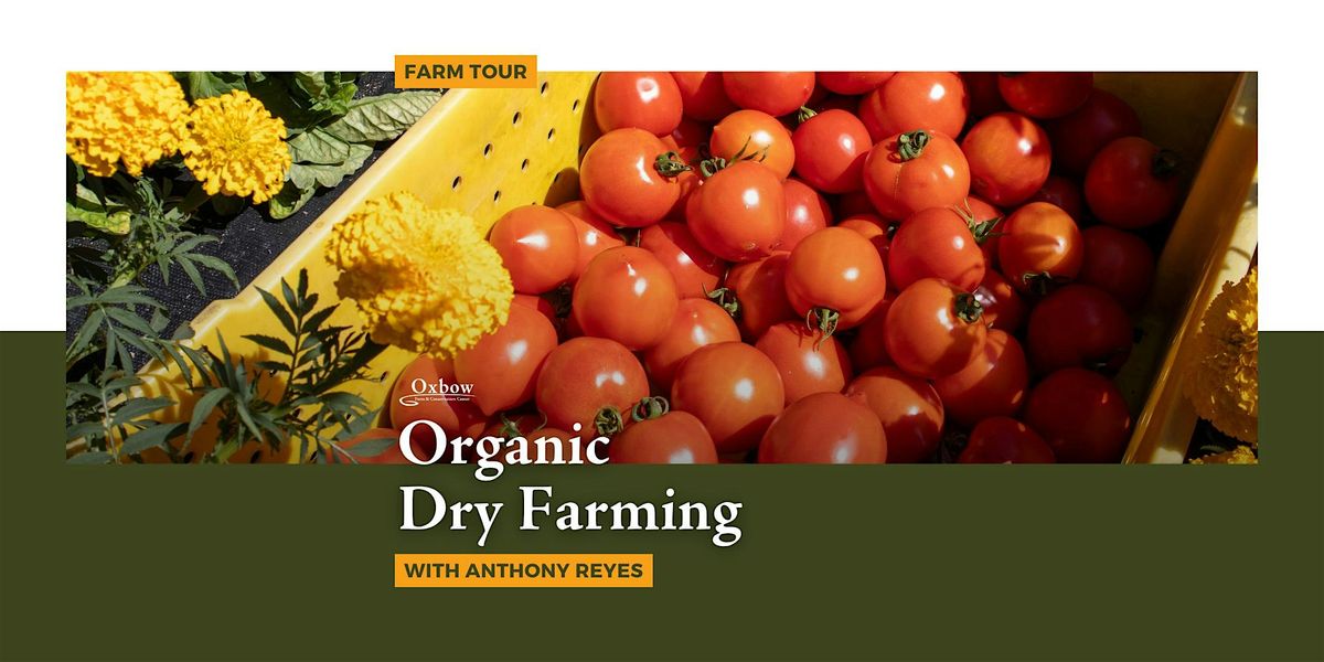 Farm Tour: Organic Dry Farming, 22 August | Event in Carnation | AllEvents