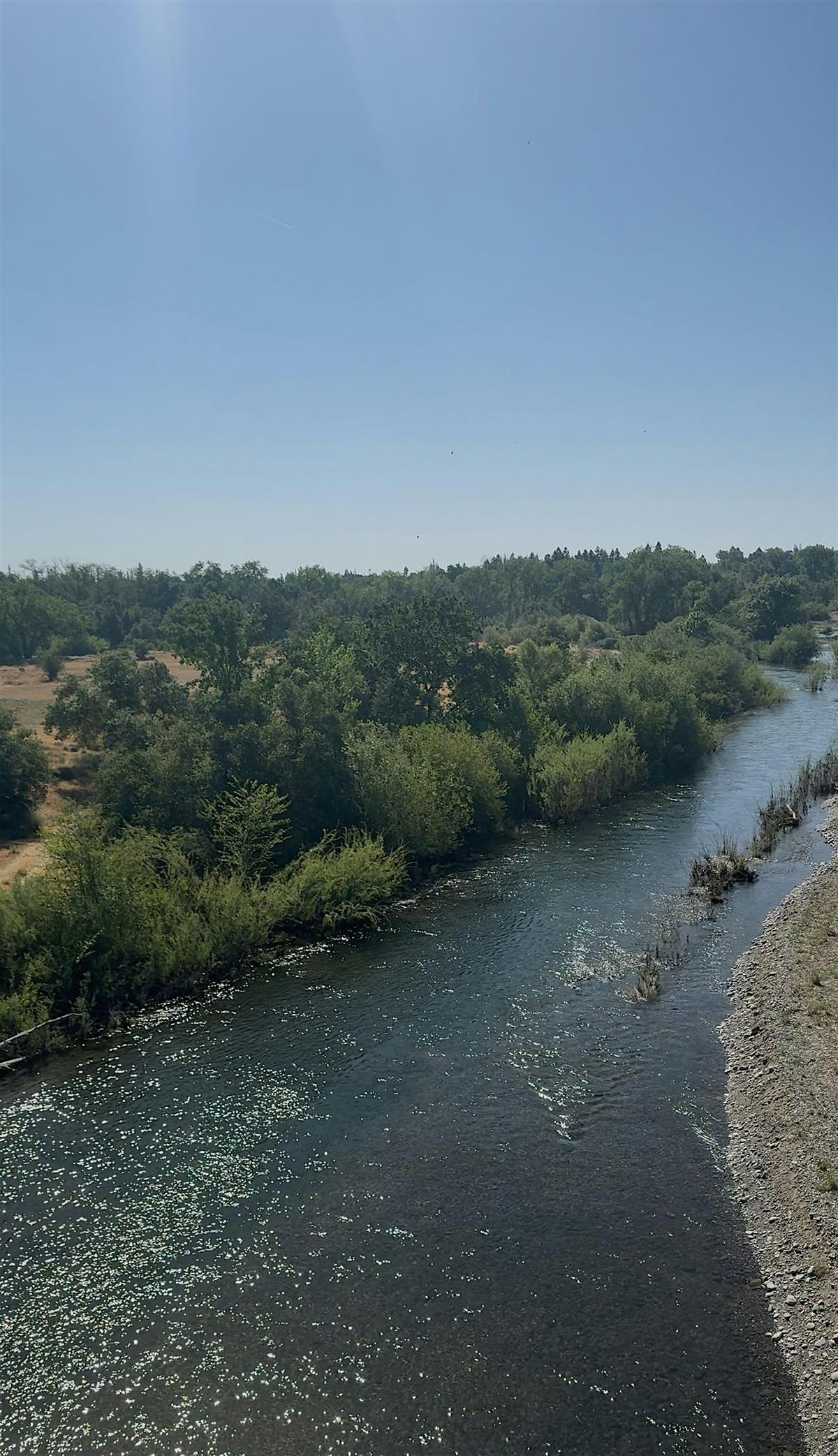 5K FUN RUN Hosted by May, 14 June | Event in Sacramento | AllEvents