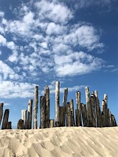 Special Event: Yoga Nidra meets Systemic Constellations - weekend workshop, 21 March | Event in Köln | AllEvents