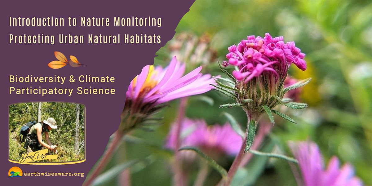 Introduction to Nature Monitoring in the City, 13 September | Event in Somerville | AllEvents