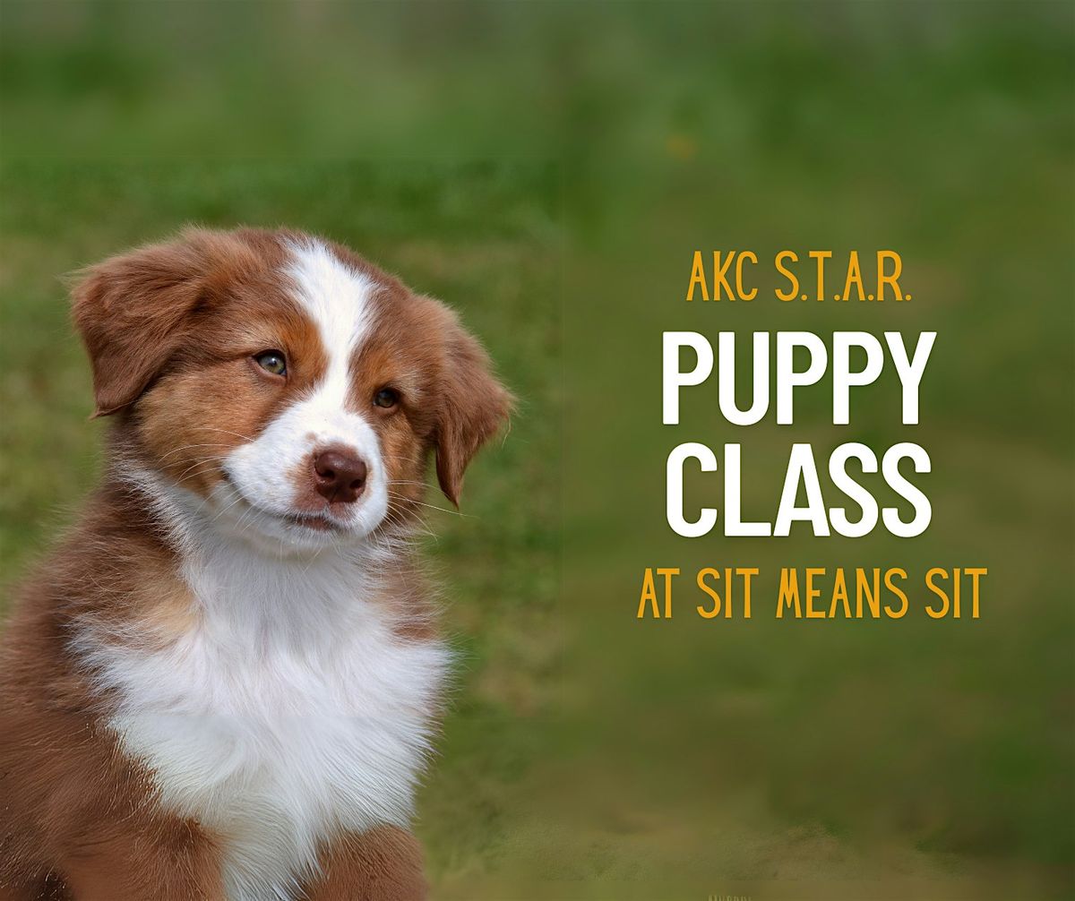 AKC S.T.A.R. Puppy Class, 22 July | Event in Madison | AllEvents