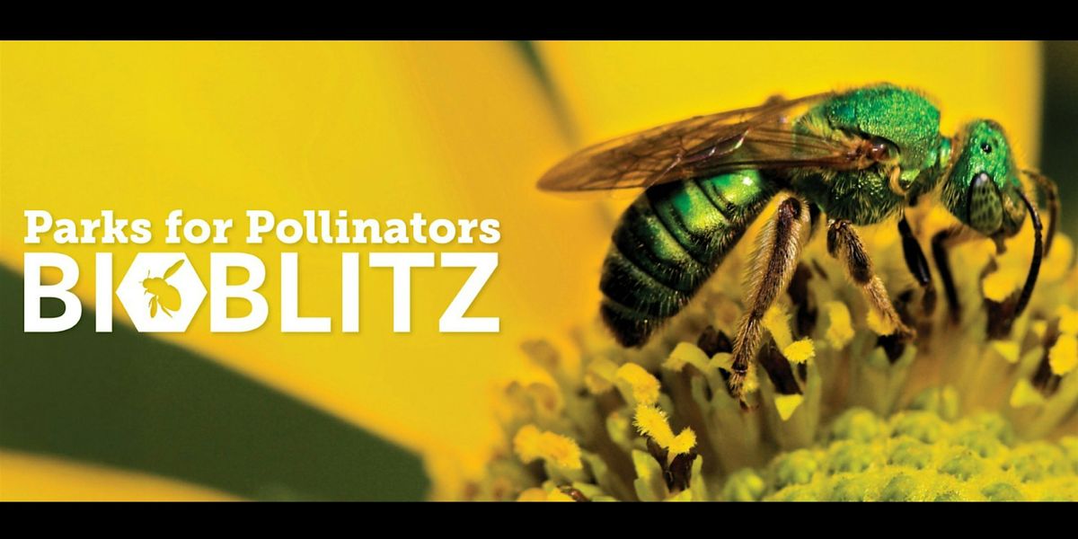 Parks for Pollinators Bio Blitz!, 13 September | Event in Largo | AllEvents